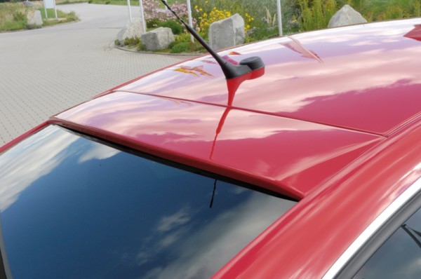 Rieger  kryt zadného skla -  VW Passat (3B) , plast ABS, 
vrátane- Certifikát,montážne vybavenie
