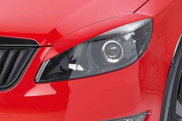 Mračítka pre Skoda Fabia 2 Roomster SB164